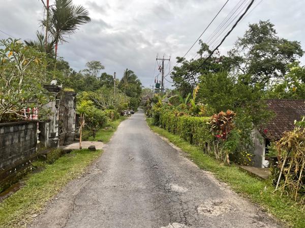 Buana Asti Homestay, Boek Pension Goedkope Hotels in Penebel
