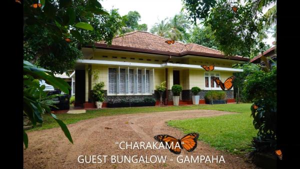 CHARAKAMA Guest Bungalow - GAMPAHA, Boek Pension Minuwangoda Gampaha District