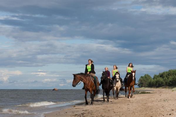Arma Riding Farm And Holiday Home, Boek Vakantiehuis Rutja 