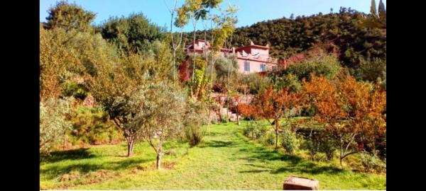 Ourika Timalizène le jardin des délices, Boek Pension Hotels in Marrakech-Tensift-Haouz met zwembad, Zwembad