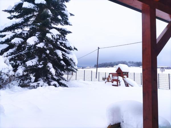 Ferienhaus am Hochficht Mühlviertel in Oberösterreich, Boek Villa Freundorf Opper-Oostenrijk