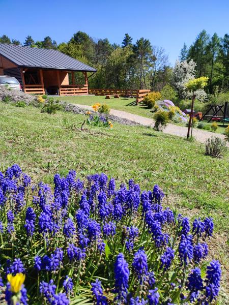 Roztocze, Domek Na Leśnym Wzgórzu nr2,Krasnobród,Zamość, Zwierzyniec, jacuzzi, Boek Vakantiehuis Subkarpaten Hotels met Parkeerplaats, Parkeren