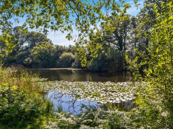 The Lodge At The Lake House, Boek Vakantiehuis Ifold West Sussex