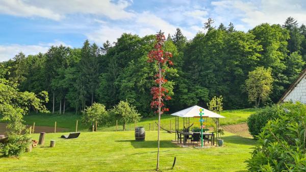 HOF-AREAL Südsteiermark Dein Ort für Poltergruppen & Hochzeiten, Boek Boerderijverblijf Stiermarken Hotels met een Zwembad, Zwembad