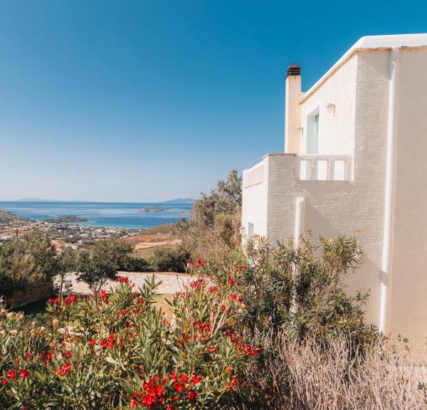 Villa Il Paradiso Andros, Boek  Gavrio Andros Island