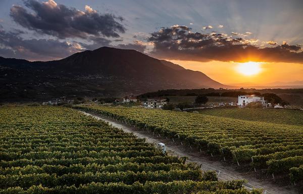 Giardino Delle Oche - Ocone Taburno Wine County, Boek  Ponte Campania