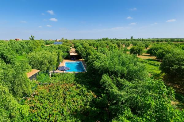 Eco Farm Tayssir Marrakech, Boek  Hotels in Marrakech-Tensift-Haouz met zwembad, Zwembad