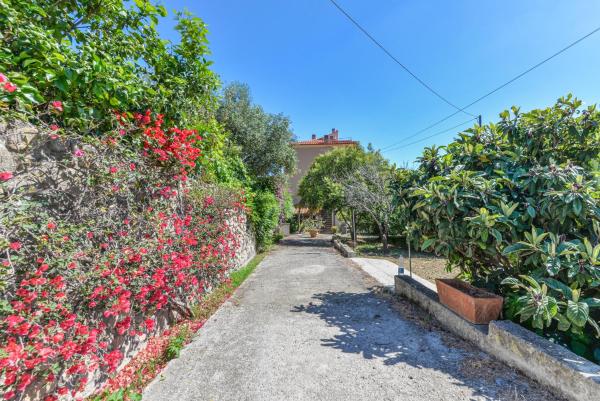 Giardino di Via del Ruotone, Boek  Marciana Marina Elba