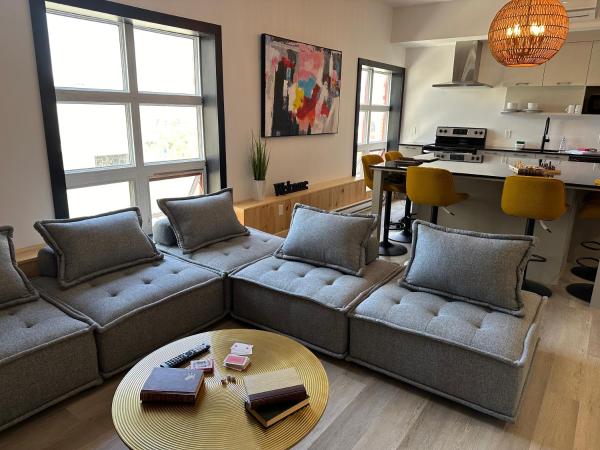 Les Villas Saint-Roch, Boek   