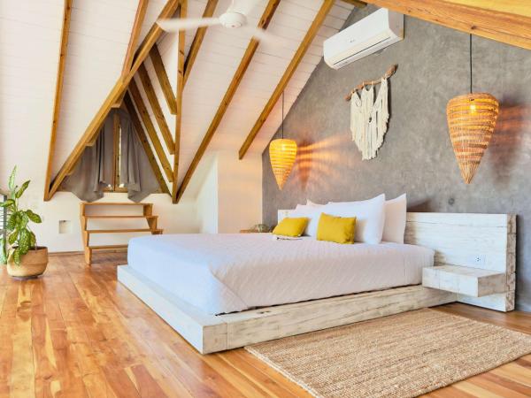 Soul Dream Bonita, Boek  Las Terrenas Samana