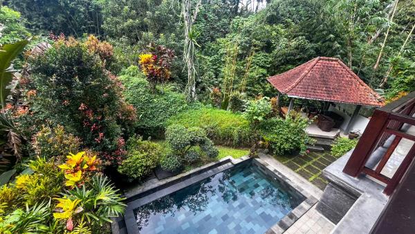 Nadiya Jungle Ubud Home, Boek  Bali Hotels met een Zwembad, Zwembad