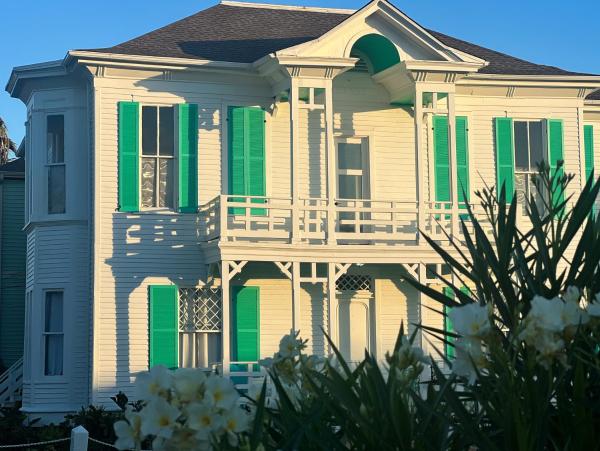 Lotus Galveston, Boek  Galveston Houston