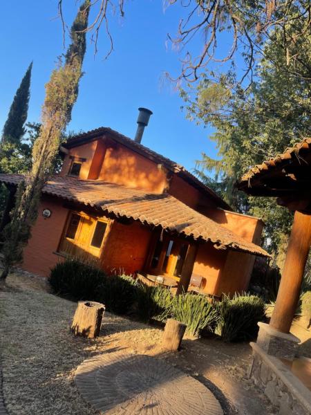 Anturio, Boek  Mazamitla Jalisco