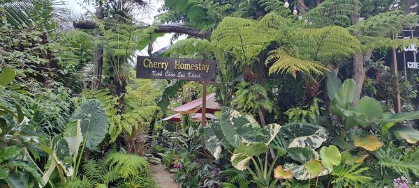 Cherry HomeStay & coffee, Boek  Hotels in Dak Lak met zwembad, Zwembad