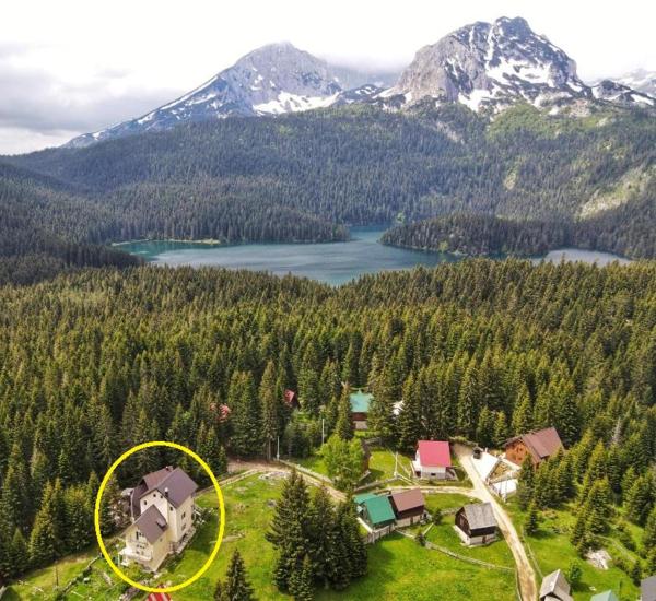Apartment Durmitor, Boek Appartement Zabljak Zabljak County