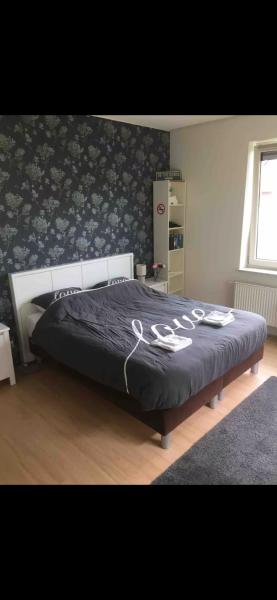 De Groene Oase, Boek  Harkstede Groningen