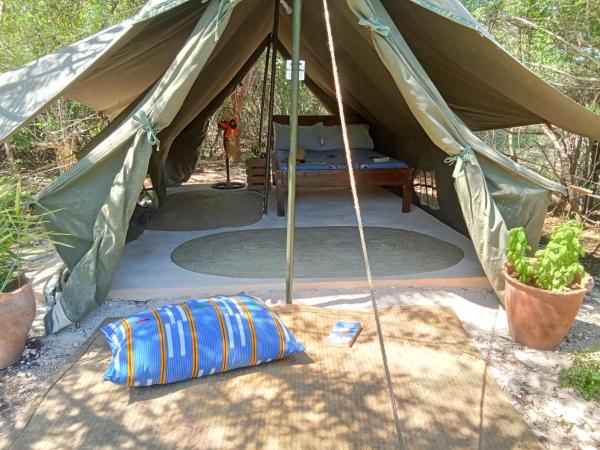 The Shamba, Boek  Kilifi 