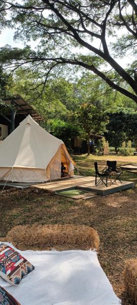 Glamping tent fan room, Boek Camping Ban Na Sok Nakhon Ratchasima Province