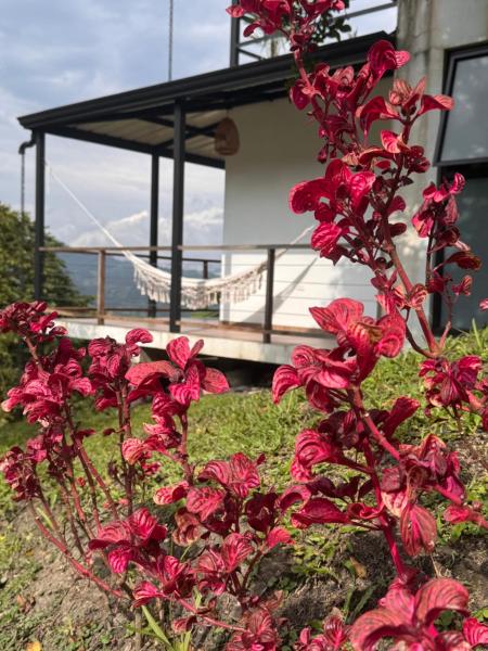 Cabañas Alondra, Boek  Vergara Hotels met een Zwembad, Zwembad