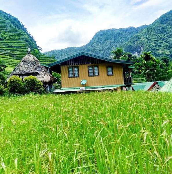 Batad Village Homestay & Restaurant, Boek   