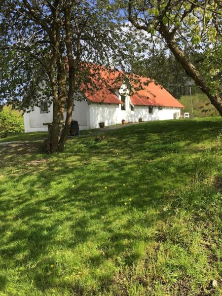 Vacation home on the Half island Helgenæs, Boek  Knebel 