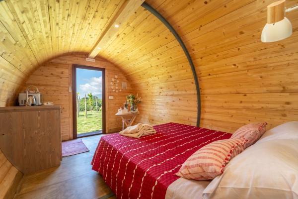 Dormire in una botte - Antiche Vigne Pironti, Boek  Marzi Calabrië