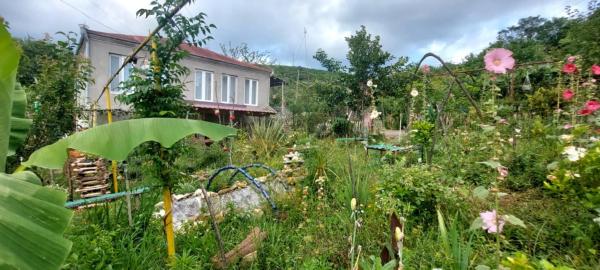 Guest House David, Boek  Gumbra 