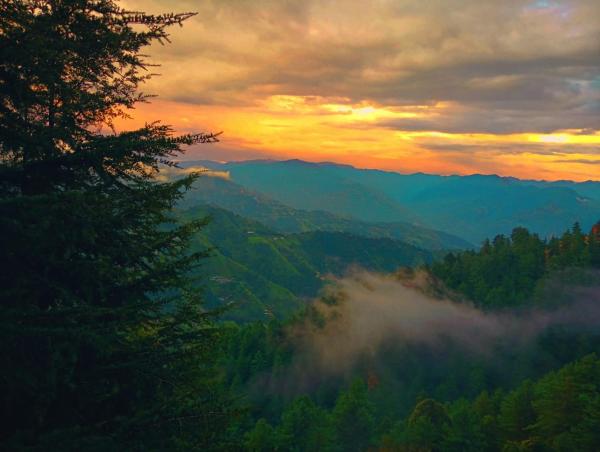 Sunrise Homestay Kufri, Boek  Cheog Himachal Pradesh