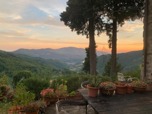 La Felce e il Mirtillo, Boek  Il Palazzo Toscane
