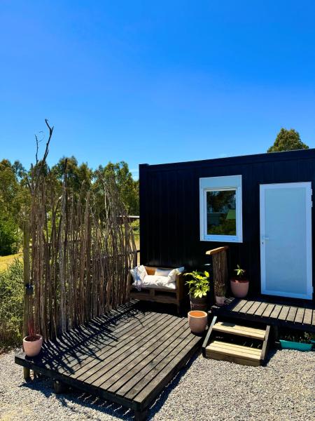 Ecos de Catrianca, Boek  Pichilemu O'Higgins