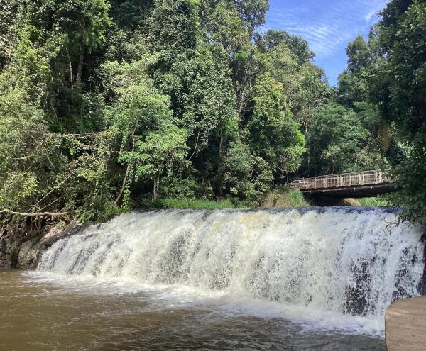 Malanda Falls Retreat, Boek  Malanda Queensland