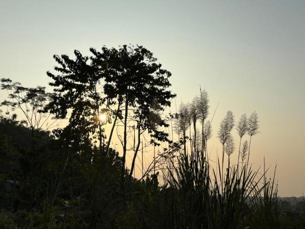 Teplong - The Paix, Kaziranga, Boek  Kaolākhāt Assam