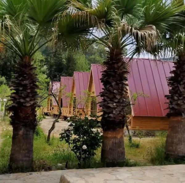 donkisot dogal yasam, Boek  Yazir Regio Middellandse Zee