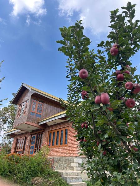 The Mool Farm and Living, Boek  Tangmarg 