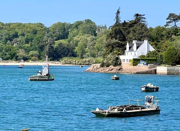 BB les pieds dans L\eau CARANTEC, Boek  Carantec Finistère