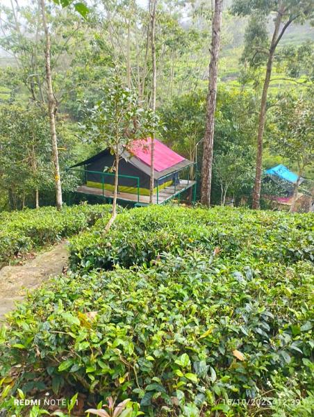Organic Farmers Tent & Trekking, Boek  Yedapalli Tamil Nadu