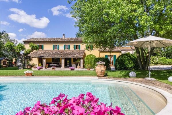 Villa Delle Vigne, Boek   