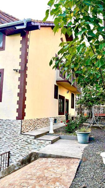 Casa Cosmina, Boek  Hotels in Şandra met parkeren, Parkeren