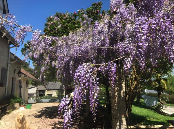 Villa Arja, Boek  Parbayse Limousin