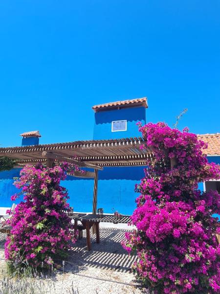 CasAzul Slow Stay in Nature, Boek  Bicas Regio Centro