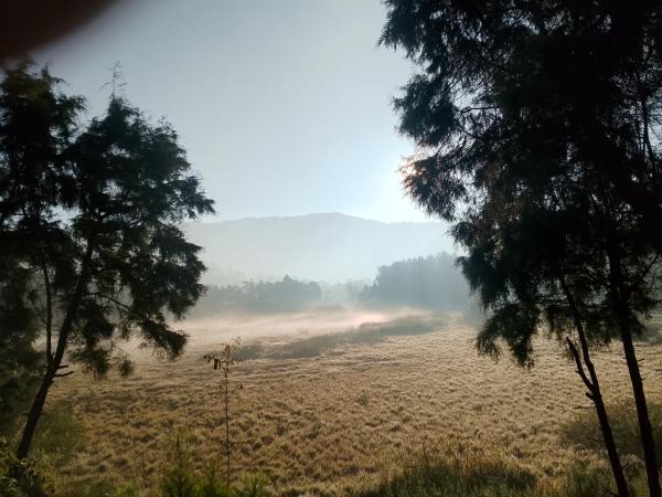 Dieng glamping syari\ah, Boek Camping Dieng Kulon Campings, Camping