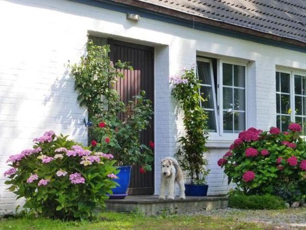 Haus Heversand, Boek  Osterhever Sleeswijk-Holstein