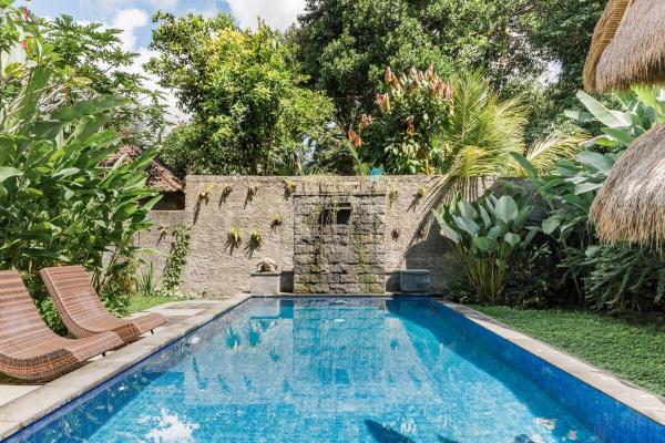 Organic Bamboo Villa near Ubud, Boek  Bali Hotels met een Zwembad, Zwembad