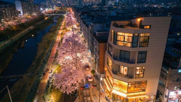 홍대#DMC역#커플,가족,단체여행#프라이빗 감성숙소#Villa De Ellie, Boek  Seoel Republiek Korea