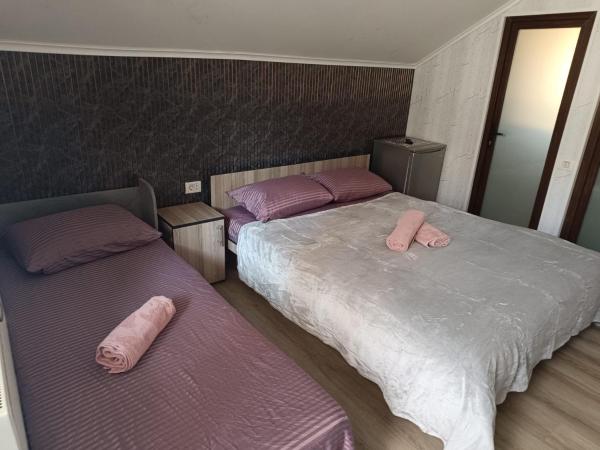 Ceronav House 2, Boek  Constanta Constanta